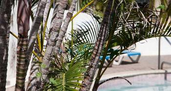 Abc Apartments Sint Michiel Ngoại thất bức ảnh